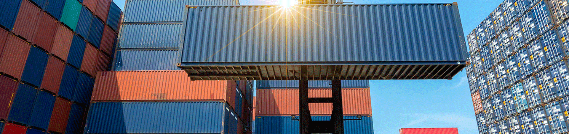 重型搬運(yùn)及裝卸模塊